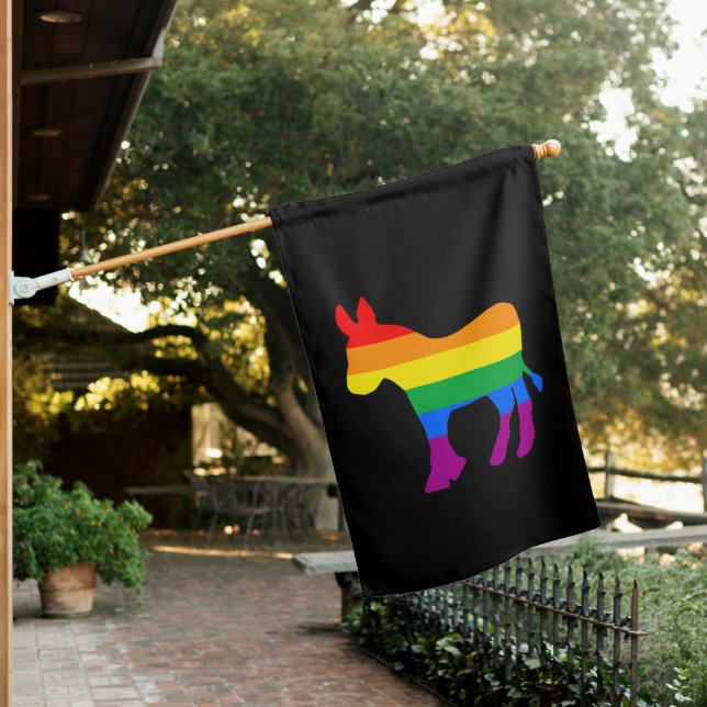 Rainbow Democrat House Flag (In SItu)