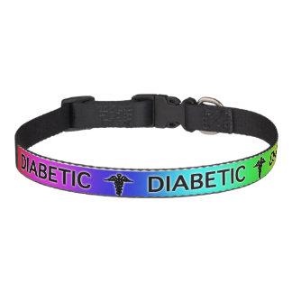 Rainbow Diabetic Dog Medical alert Pet Collar