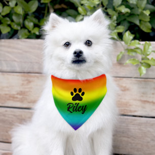 Rainbow Dog Paws Pet Bandana Collar