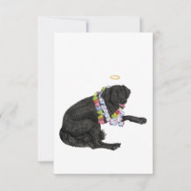 Rainbow Dog Sympathy Card