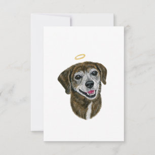 Rainbow Dog Sympathy Card