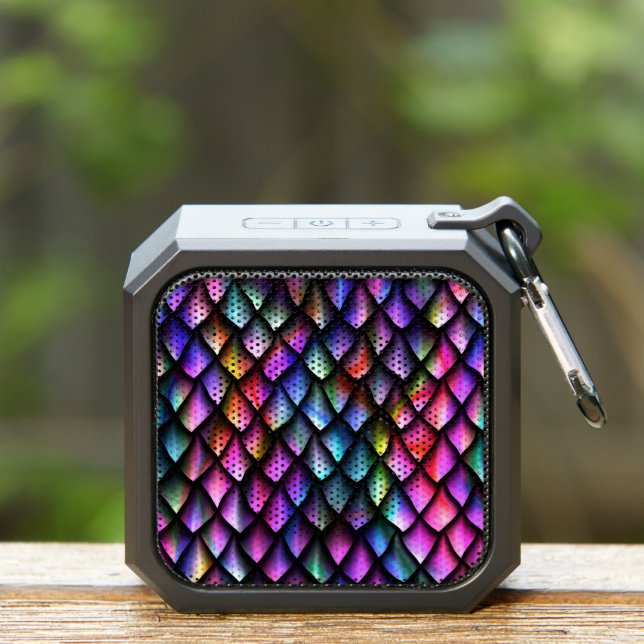 Rainbow Dragon Scales Speaker (Insitu(Outdoor))