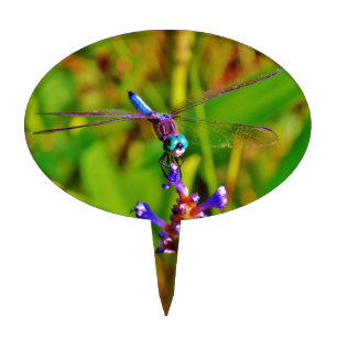 Rainbow Dragonfly and flower Cake Topper