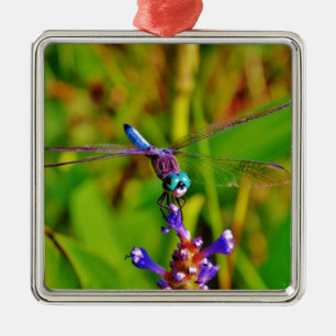 Rainbow Dragonfly and flower Metal Ornament