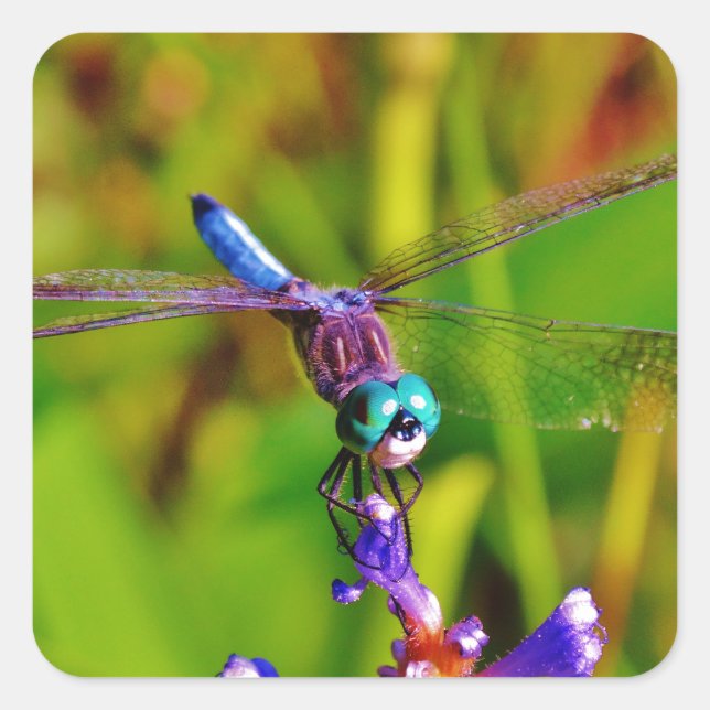 Rainbow Dragonfly and flower Square Sticker (Front)