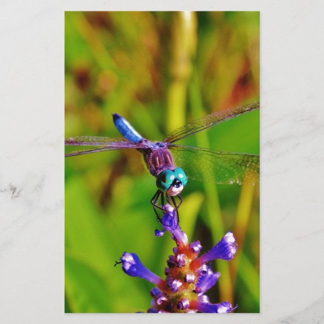Rainbow Dragonfly and flower Stationery (Front)