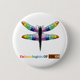 Rainbow Dragonfly Button