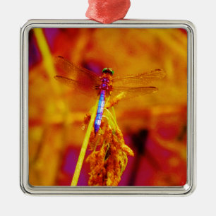 Rainbow Dragonfly on amber and fuschia Metal Ornament