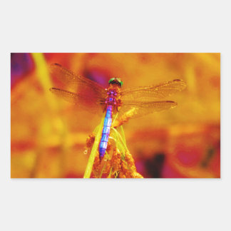 Rainbow Dragonfly on amber and fuschia Rectangular Sticker