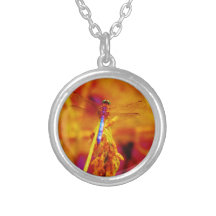 Rainbow Dragonfly on amber and fuschia