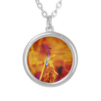 Rainbow Dragonfly on amber and fuschia Silver Plated Necklace