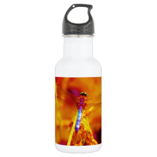 Rainbow Dragonfly on amber and fuschia Stainless Steel Water Bottle