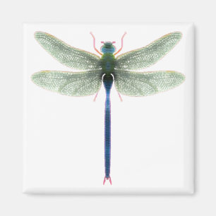 Rainbow Dragonfly Square Magnet