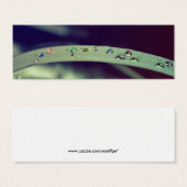 Rainbow Drops Bookmark (Front & Back)