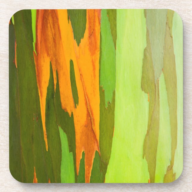Rainbow Eucalyptus bark, Hawaii Beverage Coaster (Front)