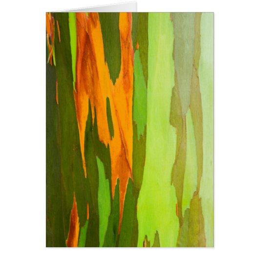 Rainbow Eucalyptus bark, Hawaii Cards (Front)