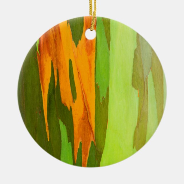 Rainbow Eucalyptus bark, Hawaii Ceramic Ornament (Front)