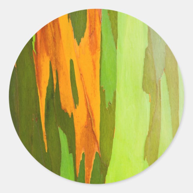 Rainbow Eucalyptus bark, Hawaii Classic Round Sticker (Front)