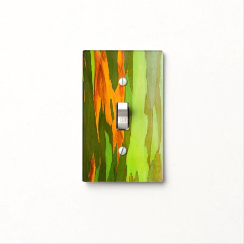 Rainbow Eucalyptus bark Hawaii Light Switch Cover