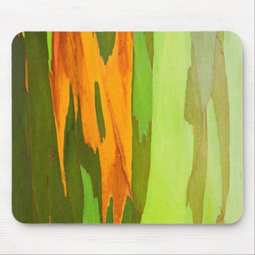 Rainbow Eucalyptus bark Hawaii Mouse Pad