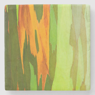 Rainbow Eucalyptus bark, Hawaii Stone Coaster