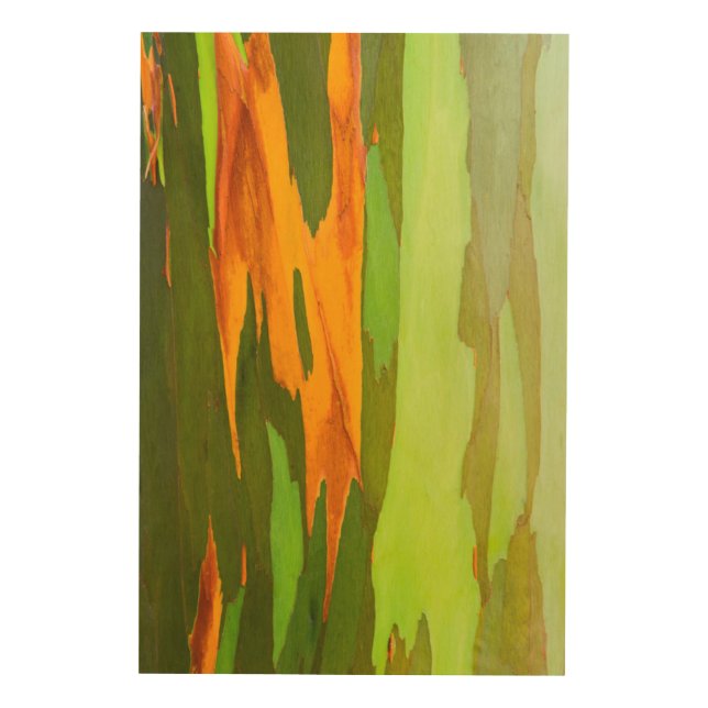 Rainbow Eucalyptus bark, Hawaii Wood Wall Decor (Front)
