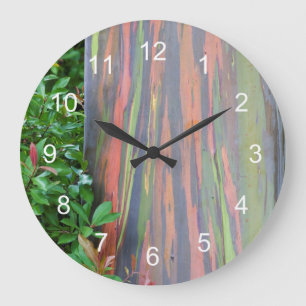 Rainbow Eucalyptus Tree Large Clock