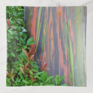 Rainbow Eucalyptus Tree Trinket Tray