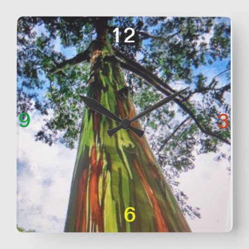 Rainbow Eucalyptus Tree Wall Clock