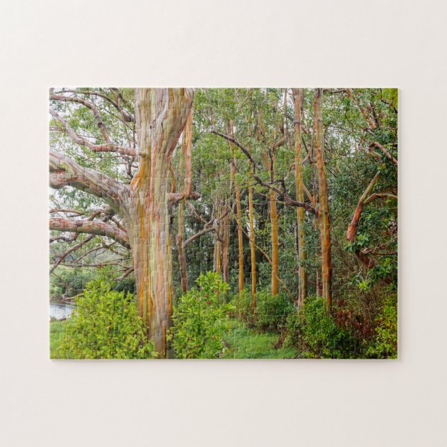 Rainbow Eucalyptus Trees. Maui, Hawaii. Jigsaw Puzzle (Horizontal)