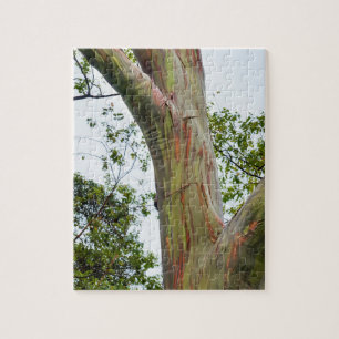 Rainbow Eucalyptus Trees, Maui, Hawaii, USA Jigsaw Puzzle