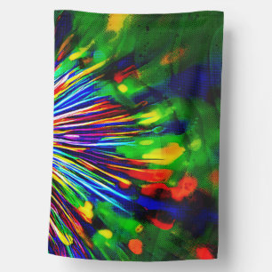 Rainbow Explosion House Flag