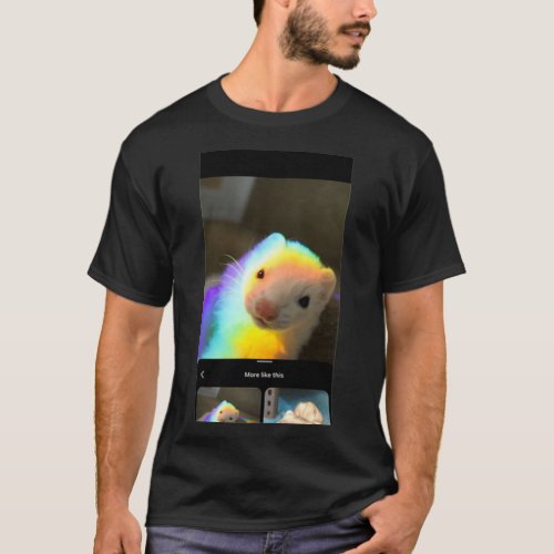 Rainbow ferret 1  T_Shirt