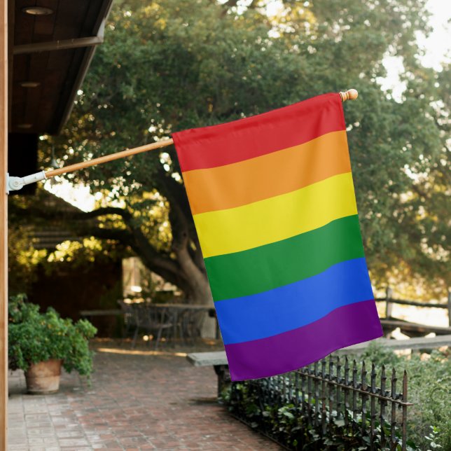 Rainbow Flag (In SItu)