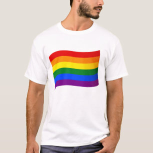 Rainbow Flag Gay Pride LGBT Love is Love LGBTQ T-Shirt