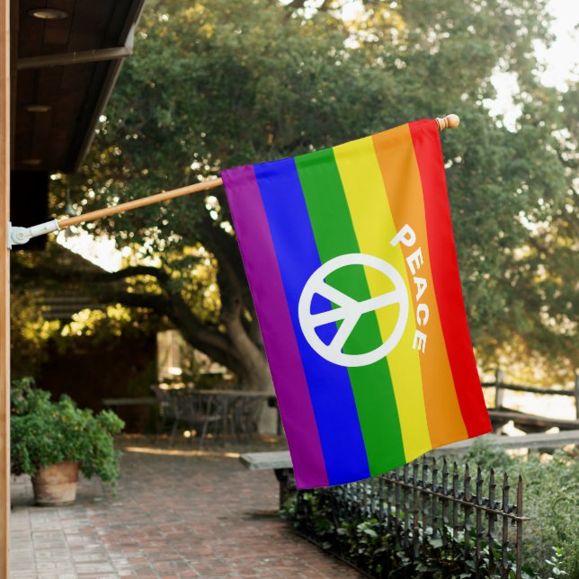 Rainbow Flag peace (In SItu)