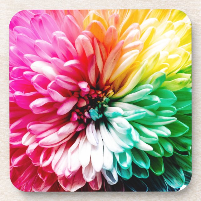 rainbow flower beverage coaster (Front)