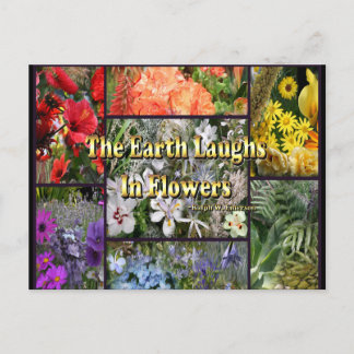 Rainbow Flowers - Earth Laughs by Emerson Postcard