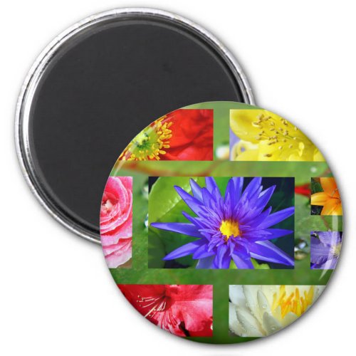Rainbow Flowers Photograph Collage Magnet
