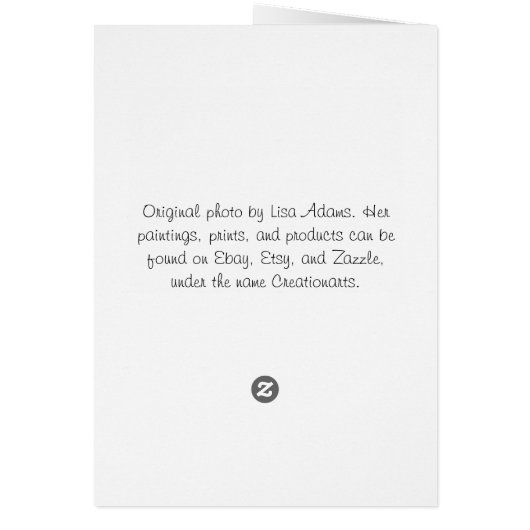 Rainbow Forest Christian Scripture Bible Verse Cards (Back)