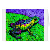 Rainbow Frogs (Front Horizontal)