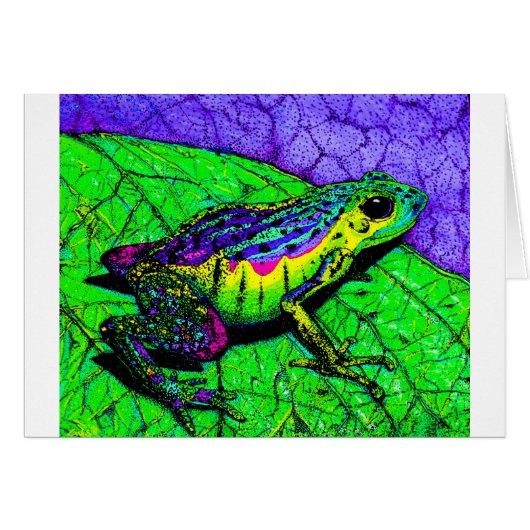 Rainbow Frogs (Front Horizontal)