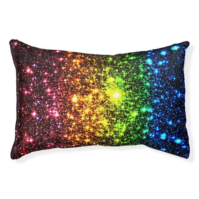 Rainbow Galaxy Dog Bed (Front)