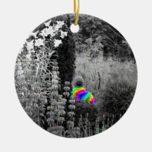 Rainbow Garden Visitor Christmas Ornament