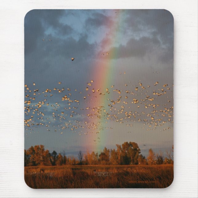 Rainbow & Geese Mousepad (Front)