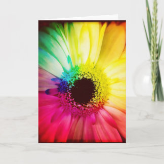 Rainbow Gerbera Daisy Blank Greeting Card
