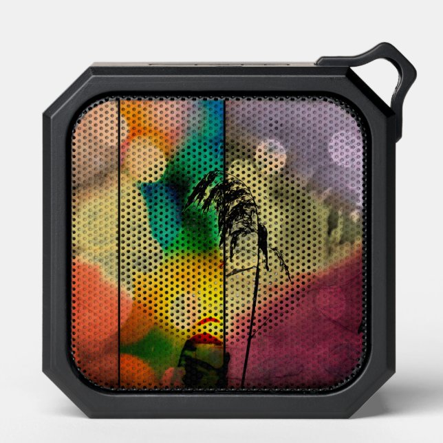 Rainbow Grass Drama Bluetooth Speaker (Front)