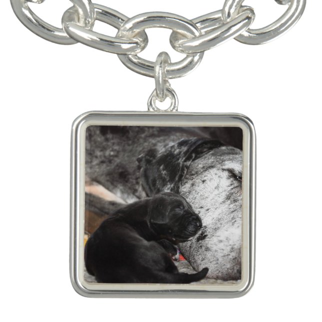 Rainbow Great Dane Bracelet (Design)