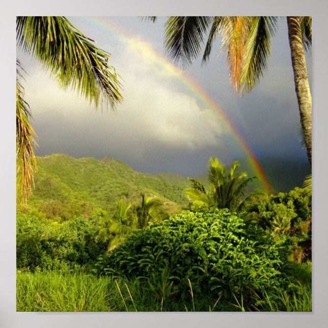 Rainbow-Hakipuu Poster (Front)