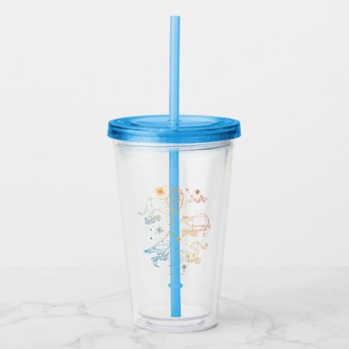 Rainbow HOGWARTS Houses Constellations Acrylic Tumbler